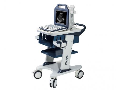 EMPEROR TROLLEY FOR REAL TIME ULTRASOUND