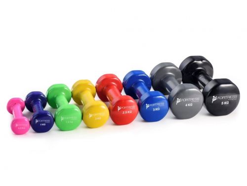 FORTRESS VINYL DUMBBELL WEIGHTS 