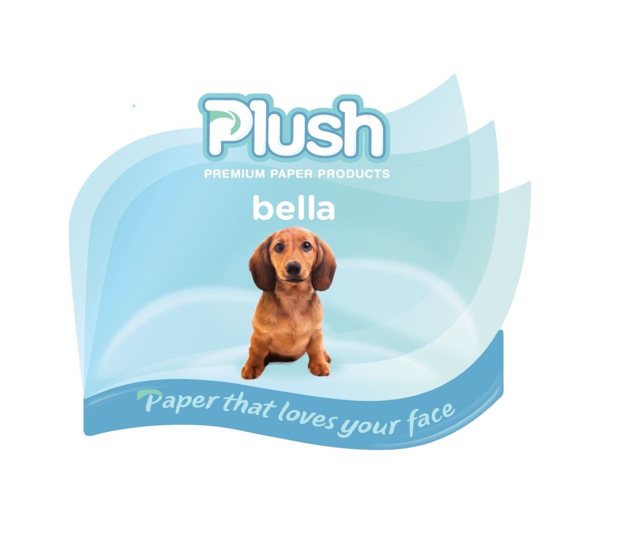 PLUSH PAPER / BELLA FACE PADS / PACK OF 1000 photo
