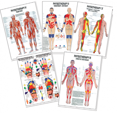 BODYLINE PHYSIOTHERAPY CHARTS